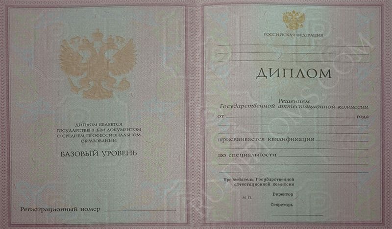 Диплом техникума или колледжа 2004-2006 год 