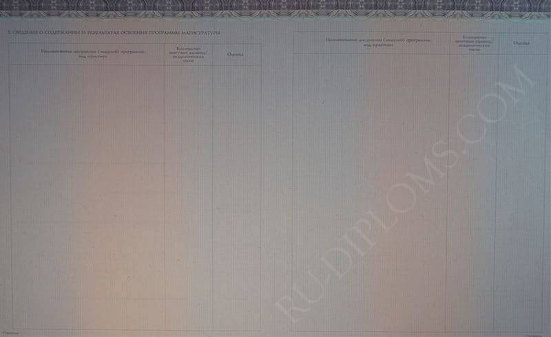 Диплом магистра 2014-2025 НОВОГО ОБРАЗЦА Киржач